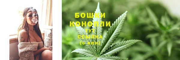СК Михайловск