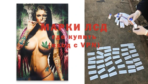 СК Михайловск