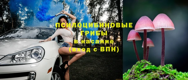 СК Михайловск