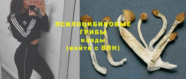 синтетический гашиш Михайлов